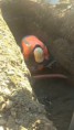 /album/semerap/imag0526-jpg/