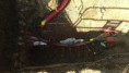 /album/erdf/imag0799-jpg/